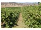 51 Wirrilla  Road, Jugiong NSW 2726