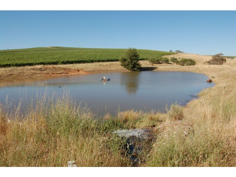 51 Wirrilla  Road, Jugiong NSW 2726