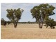 1902 Paintings Bridge Road, Galore NSW 2650