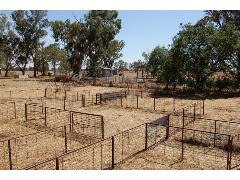 1902 Paintings Bridge Road, Galore NSW 2650