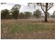 1902 Paintings Bridge Road, Galore NSW 2650