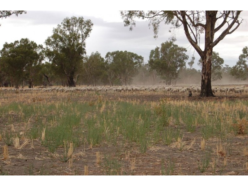 1902 Paintings Bridge Road, Galore NSW 2650