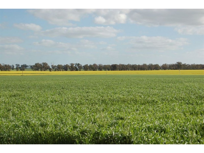 106 Tilyards Lane, Coolamon NSW 2701