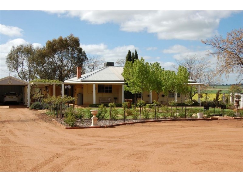 106 Tilyards Lane, Coolamon NSW 2701