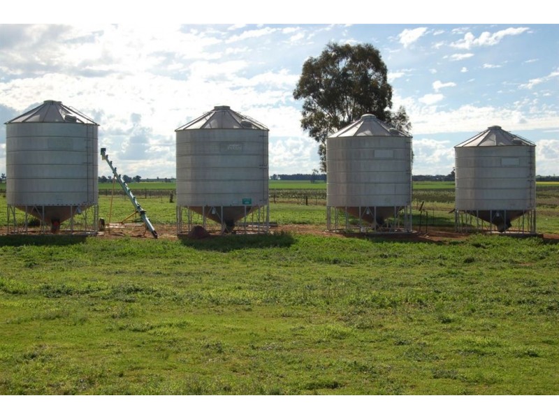 106 Tilyards Lane, Coolamon NSW 2701