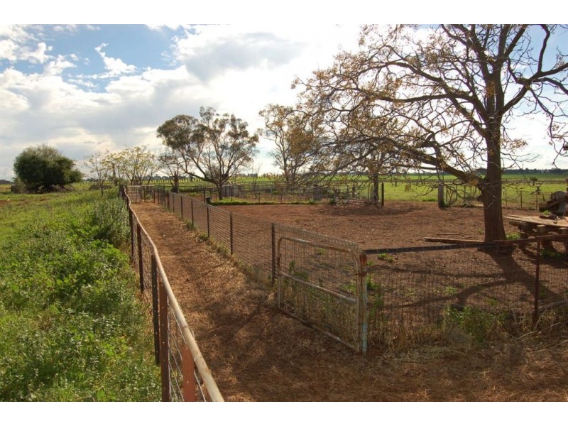 106 Tilyards Lane, Coolamon NSW 2701