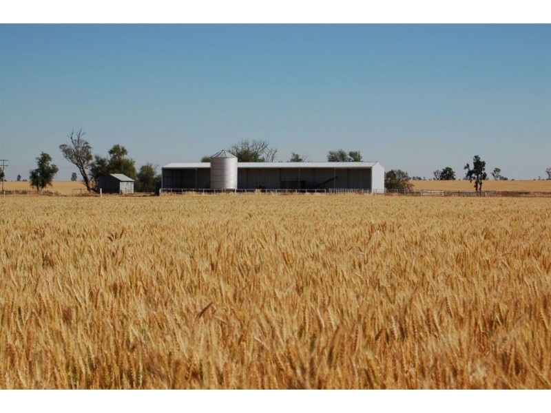 892 Ardlethan Road, Coolamon NSW 2701