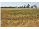 892 Ardlethan Road, Coolamon NSW 2701