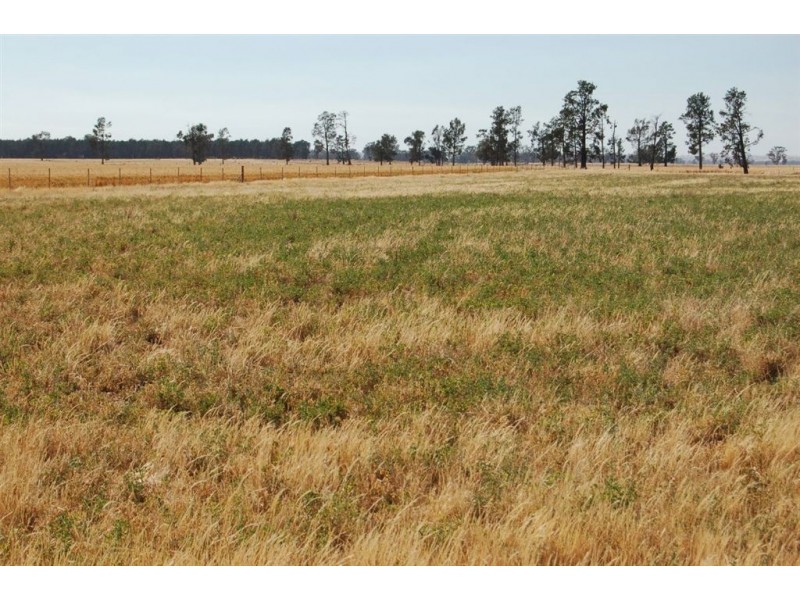 892 Ardlethan Road, Coolamon NSW 2701