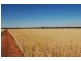 892 Ardlethan Road, Coolamon NSW 2701