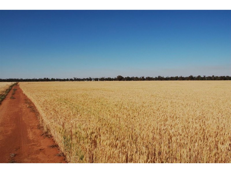 892 Ardlethan Road, Coolamon NSW 2701