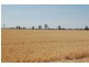 892 Ardlethan Road, Coolamon NSW 2701