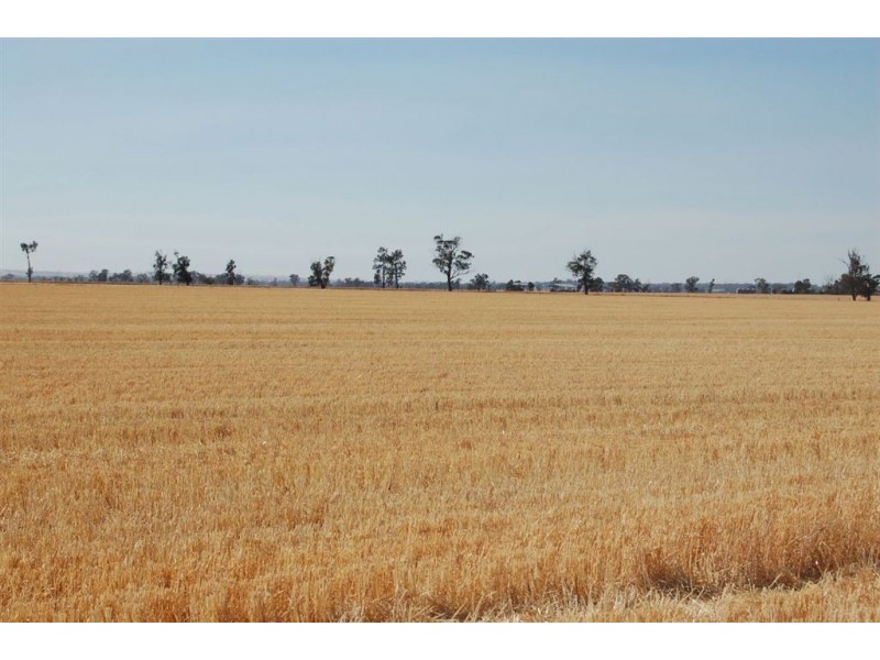 892 Ardlethan Road, Coolamon NSW 2701