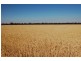 892 Ardlethan Road, Coolamon NSW 2701
