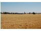 892 Ardlethan Road, Coolamon NSW 2701