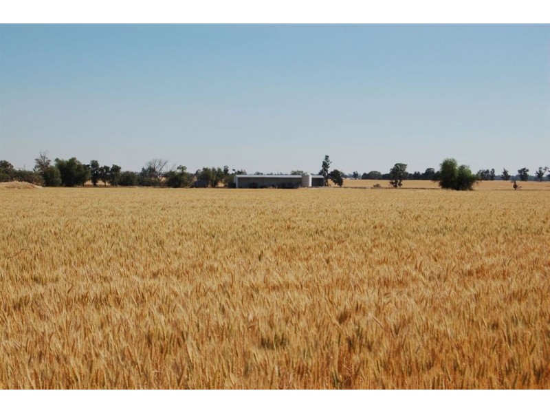 892 Ardlethan Road, Coolamon NSW 2701