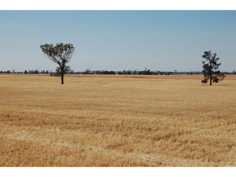892 Ardlethan Road, Coolamon NSW 2701