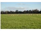 892 Ardlethan Road, Coolamon NSW 2701