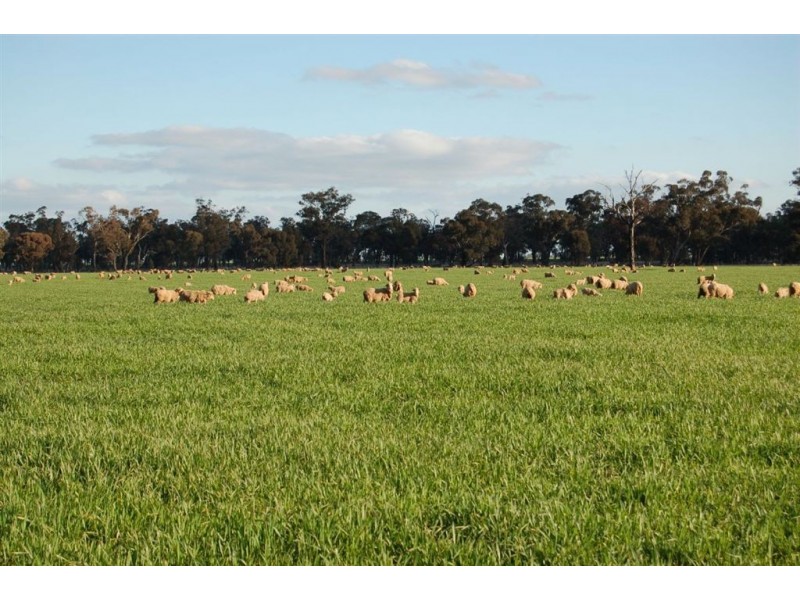 892 Ardlethan Road, Coolamon NSW 2701