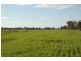 892 Ardlethan Road, Coolamon NSW 2701
