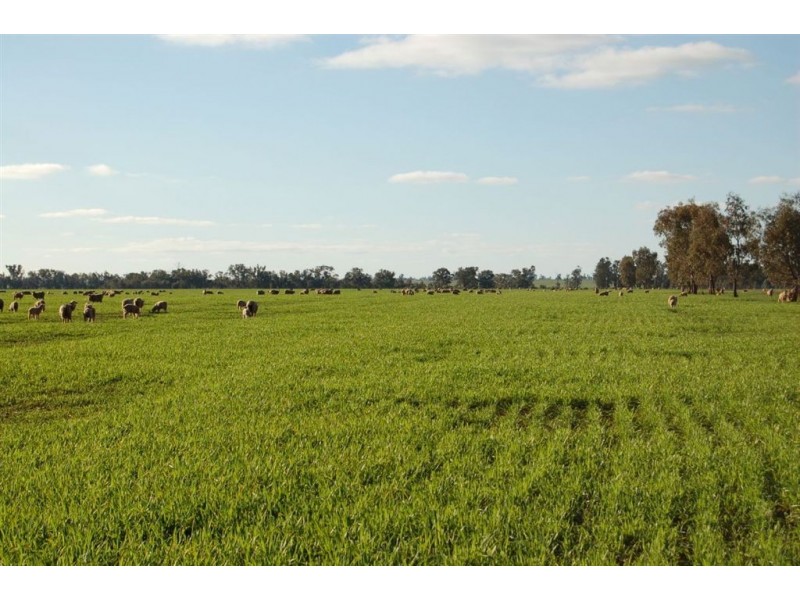 892 Ardlethan Road, Coolamon NSW 2701