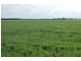 892 Ardlethan Road, Coolamon NSW 2701