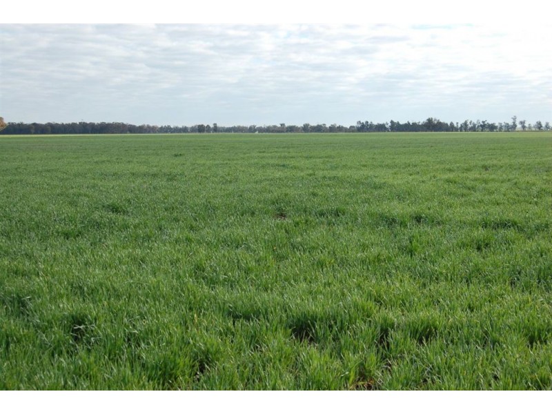 892 Ardlethan Road, Coolamon NSW 2701