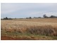 Junee NSW 2663