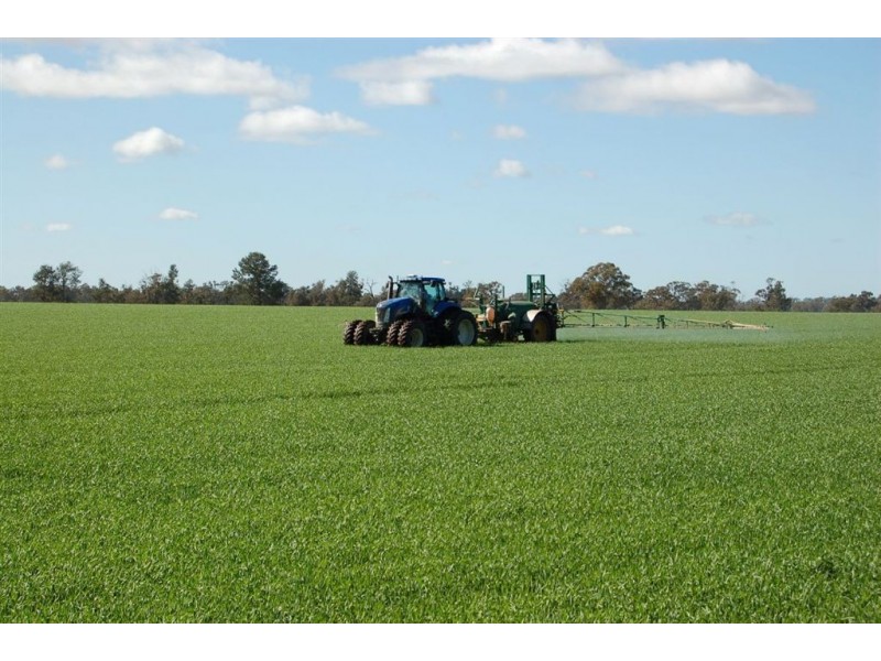 1902 Paintings Bridge Road, Narrandera NSW 2700