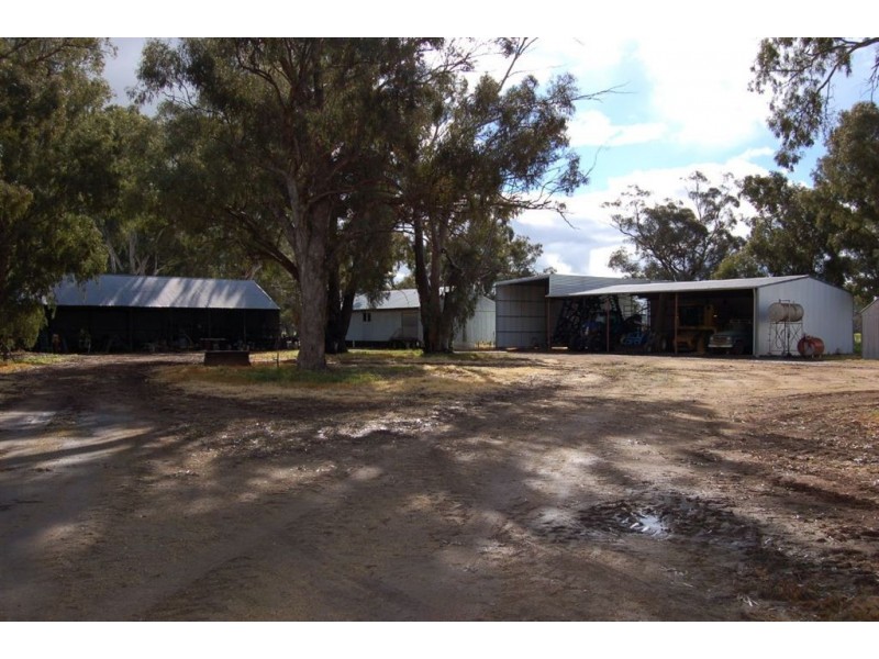 1902 Paintings Bridge Road, Narrandera NSW 2700