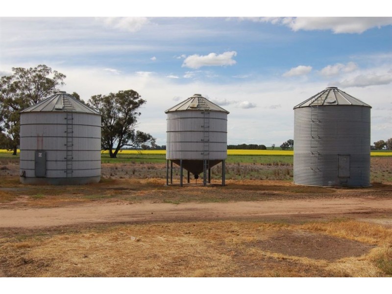 1902 Paintings Bridge Road, Narrandera NSW 2700