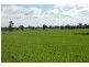 1902 Paintings Bridge Road, Narrandera NSW 2700