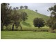 Nangus NSW 2722