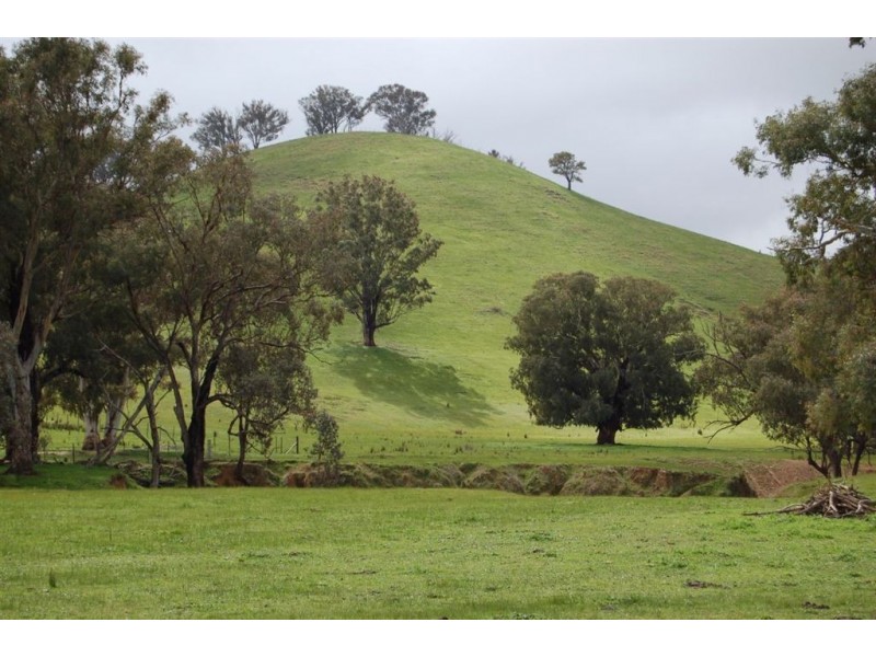 Nangus NSW 2722