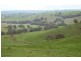 Nangus NSW 2722