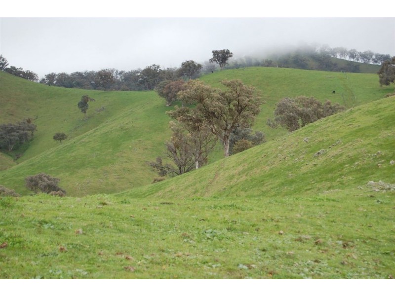 Nangus NSW 2722