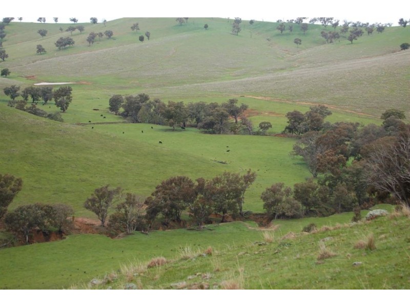 Nangus NSW 2722