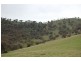 Nangus NSW 2722