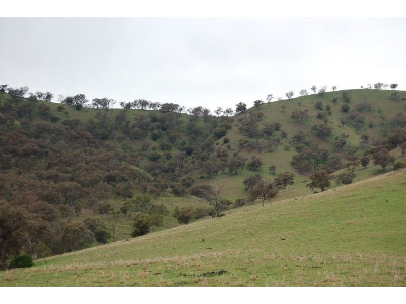 Nangus NSW 2722