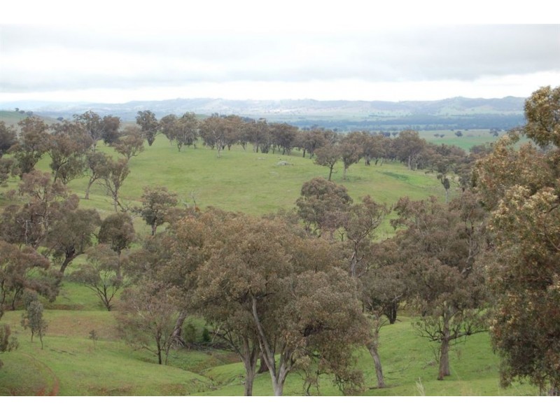 Nangus NSW 2722