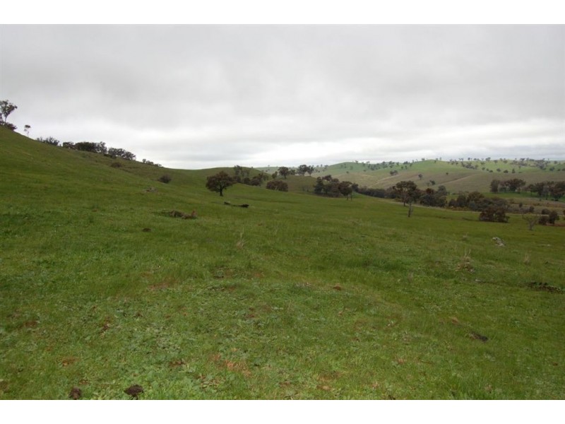 Nangus NSW 2722