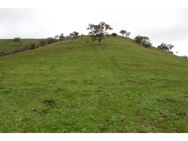 Nangus NSW 2722