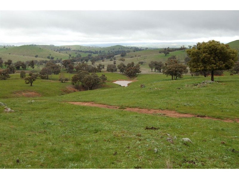 Nangus NSW 2722