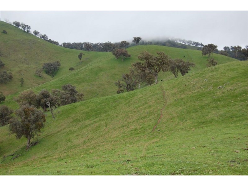 Nangus NSW 2722