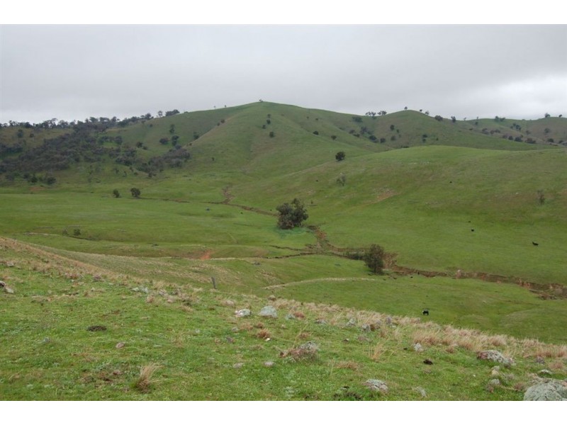 Nangus NSW 2722