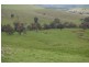 Nangus NSW 2722