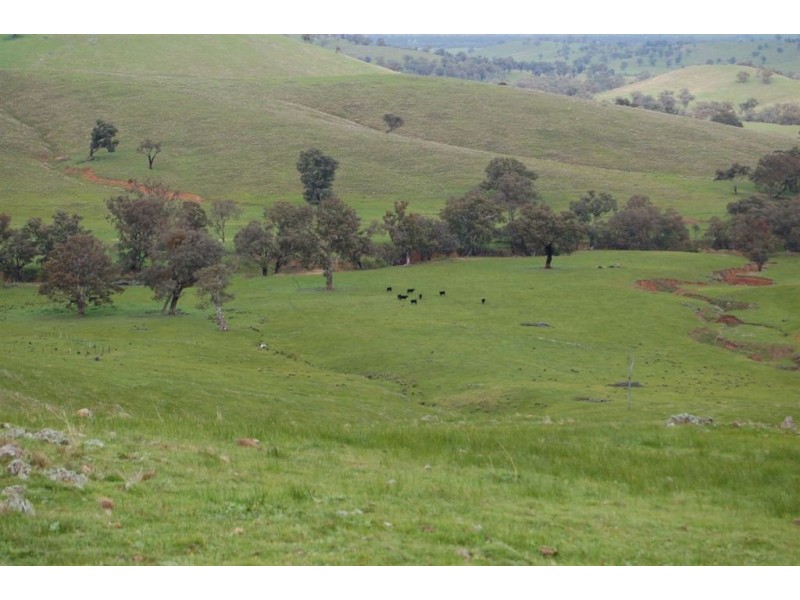 Nangus NSW 2722