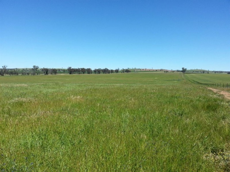 1143 Wantiool Road, Eurongilly NSW 2663