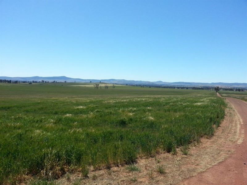 1143 Wantiool Road, Eurongilly NSW 2663