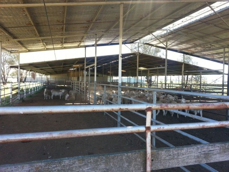 1143 Wantiool Road, Eurongilly NSW 2663